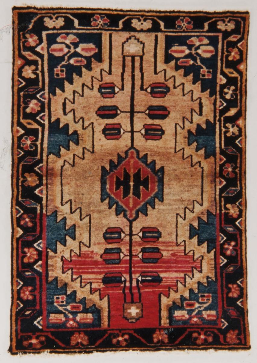 Tappeto Vecchio, numero d'inventario 310